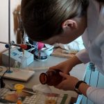 Опановуючи професію
